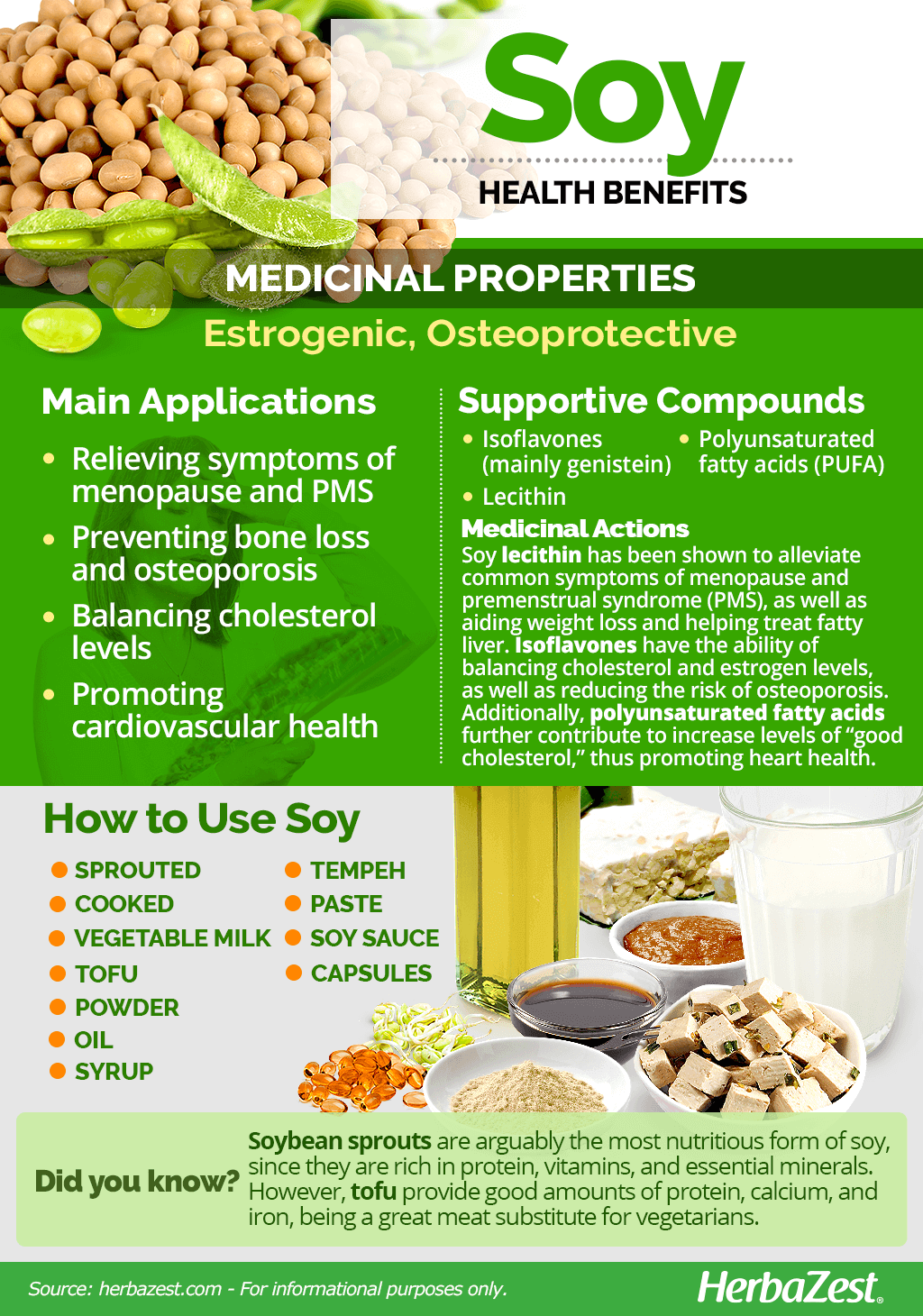 Infographic: Soy | HerbaZest