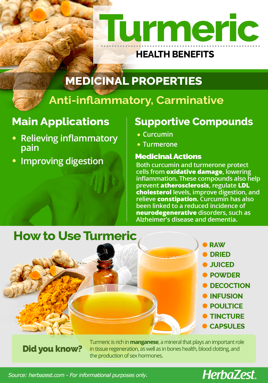 Infographic Turmeric HerbaZest