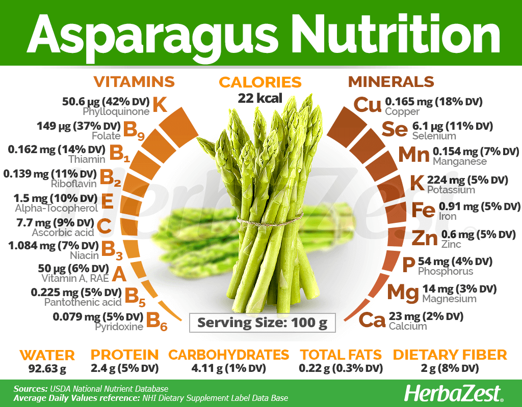 Asparagus | HerbaZest