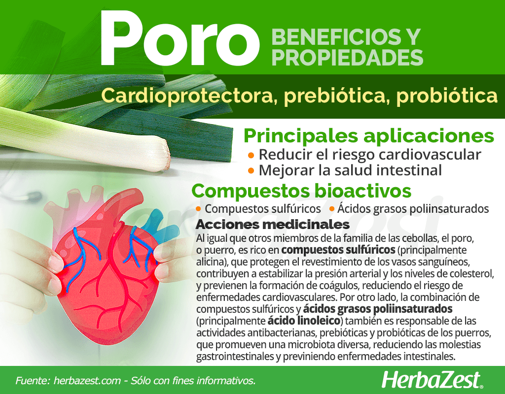 Beneficios y propiedades del poro