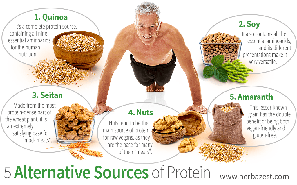 5 Sources of Protein | HerbaZest