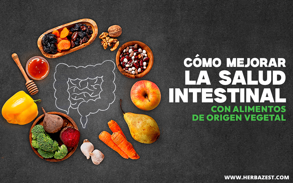 Cómo mejorar la salud intestinal con alimentos de origen vegetal