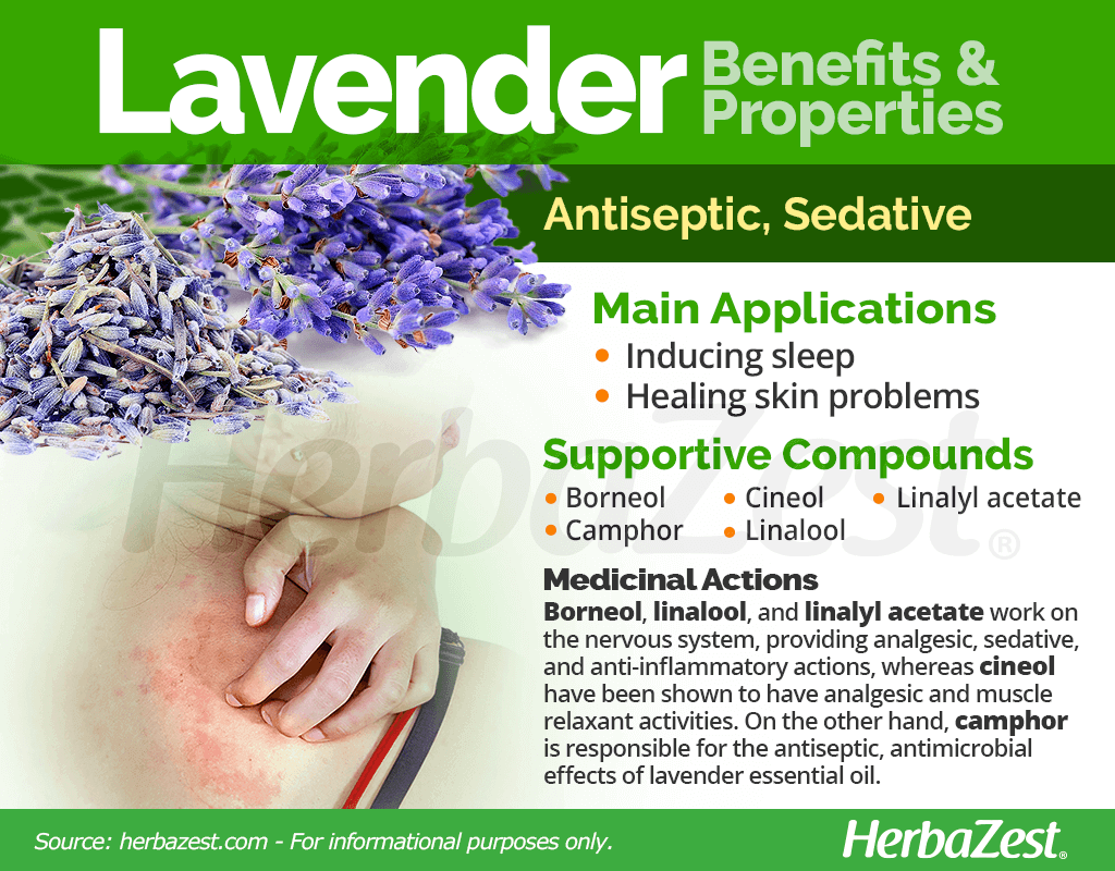 Uses for lavender  Lavender benefits, Lavender, Raw for beauty