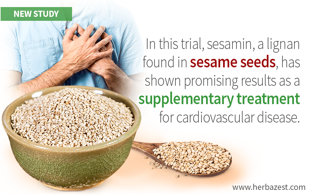 Compounds Found in Sesame Seeds May Offer Cardiovascular Benefits