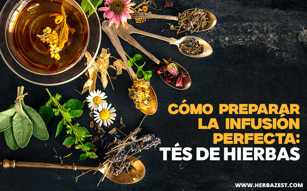 Cómo preparar la infusión perfecta: tés de hierbas