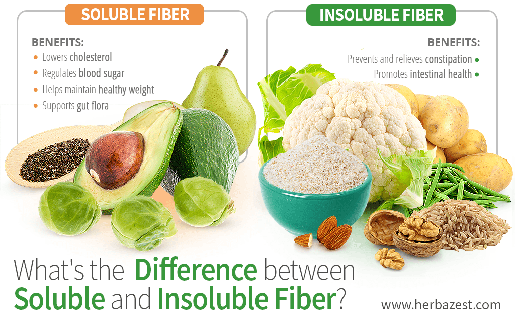 What Are The Differences Between Soluble And Insolubl - vrogue.co
