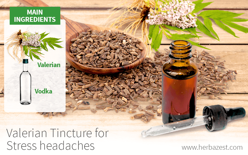 Valerian Tincture for Stress Headaches HerbaZest