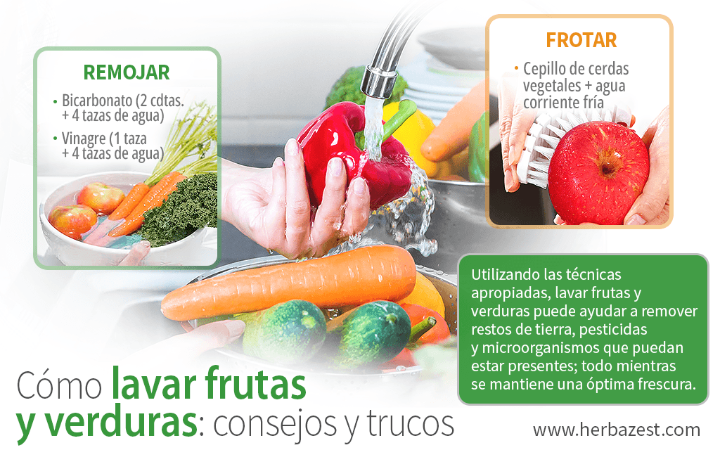 Solución Desinfectante para Lavar Frutas y Verduras: elimina los  microorganismos