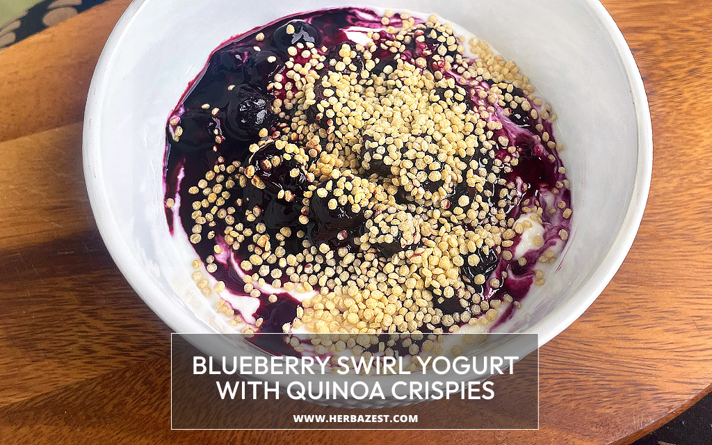 Blueberry Swirl Yogurt with Quinoa Crispies