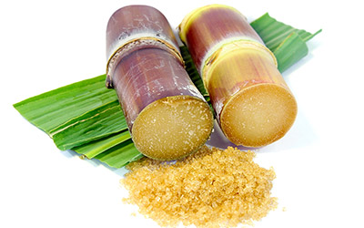 Sugarcane