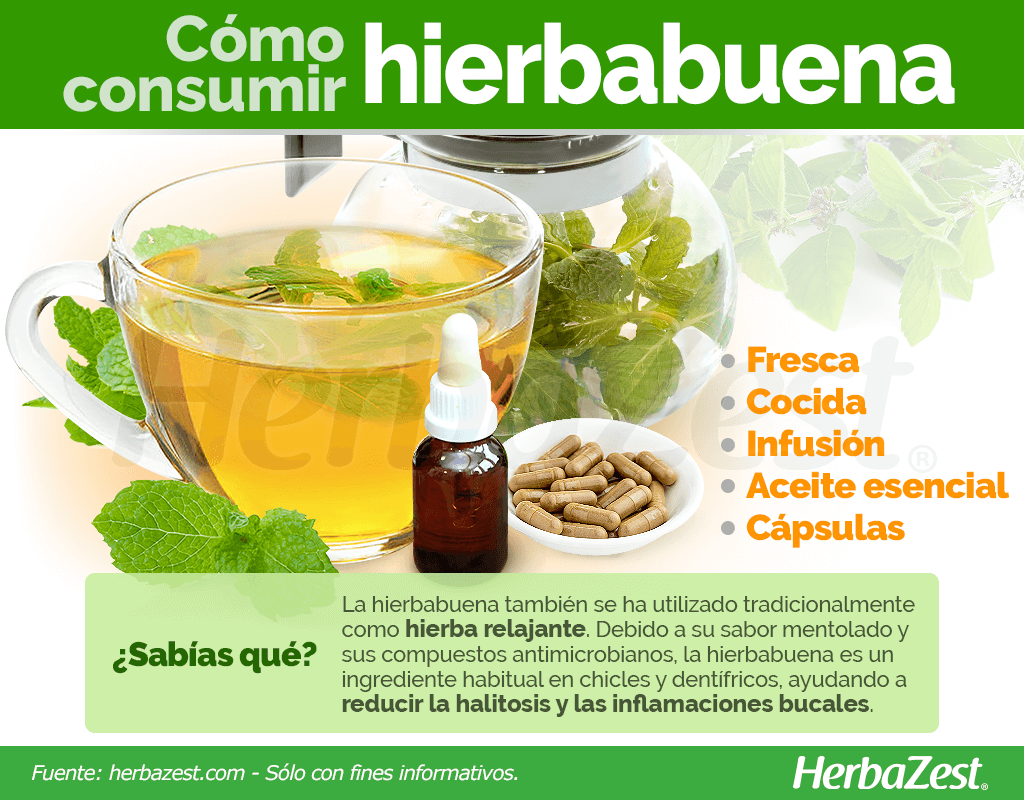 Cómo consumir hierbabuena