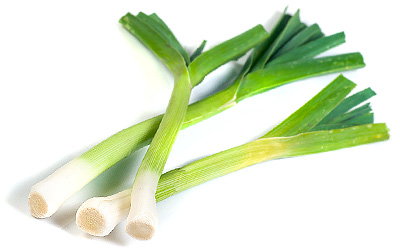 Leek