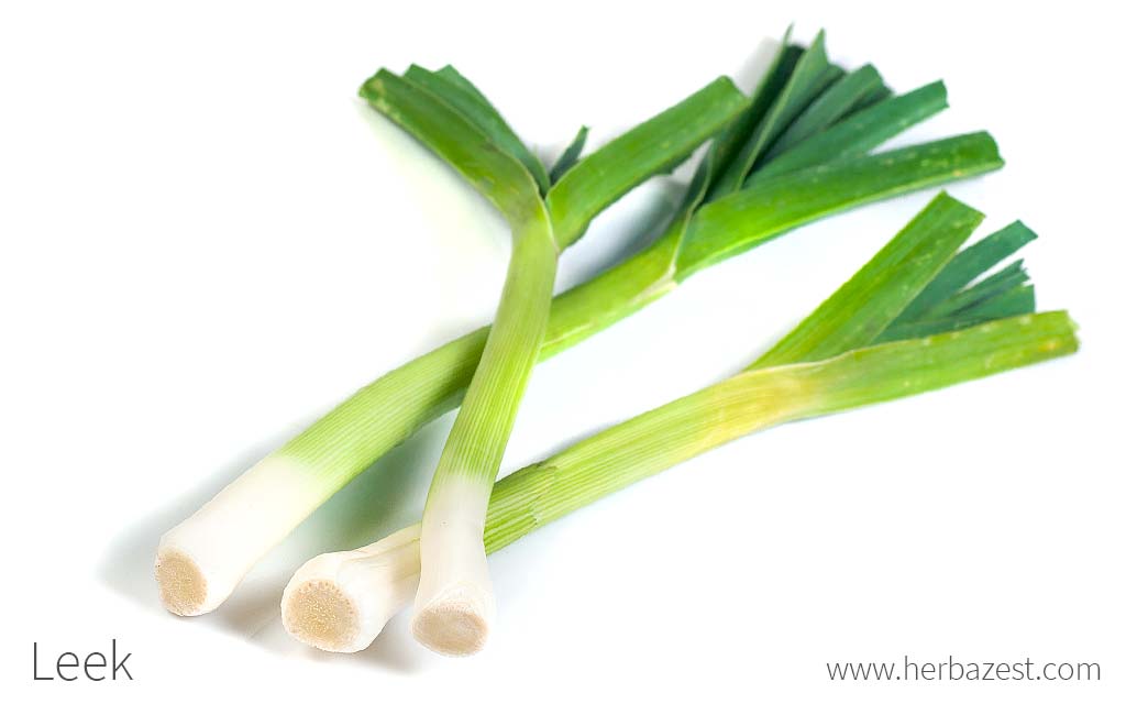 Leek