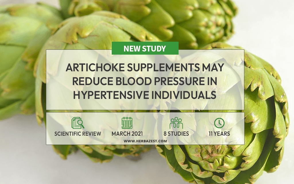 Artichoke Supplementation May Benefit People with Hypertension