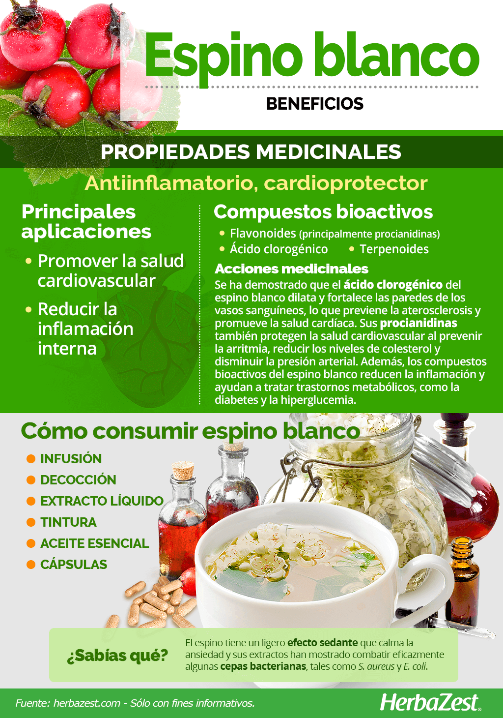 Beneficios del espino blanco