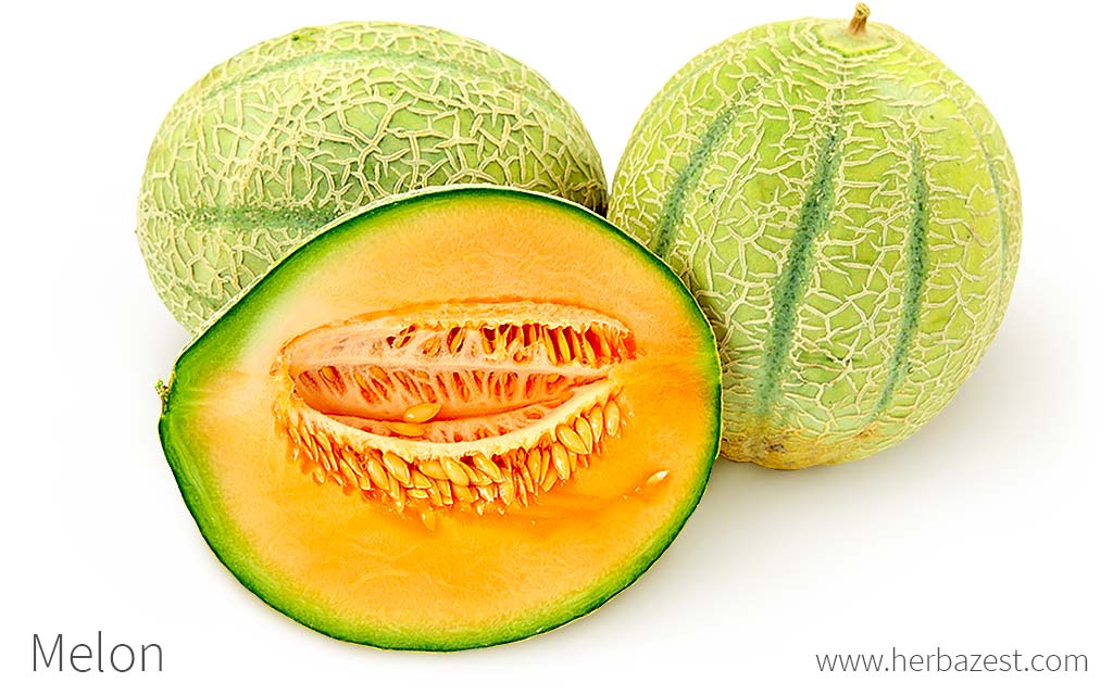 Golden Honeydew Melon Information and Facts