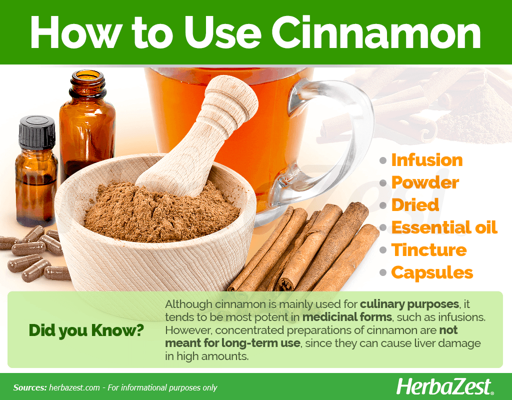 Cinnamon, Plant, Spice, History, & Uses