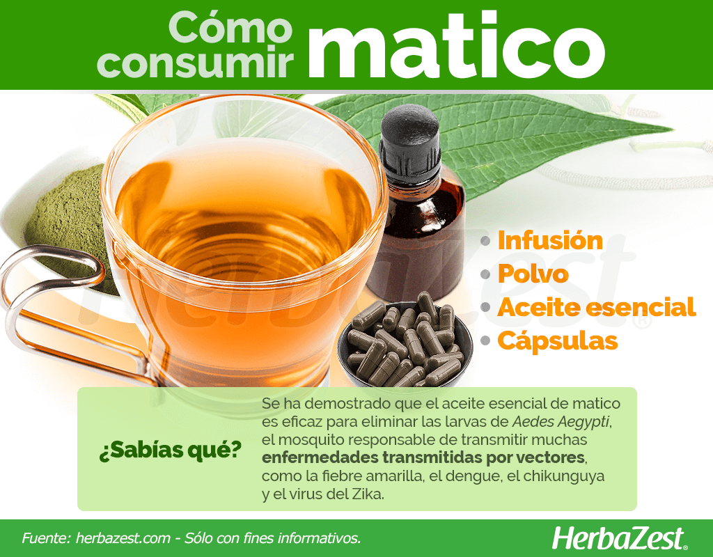 Cómo consumir matico