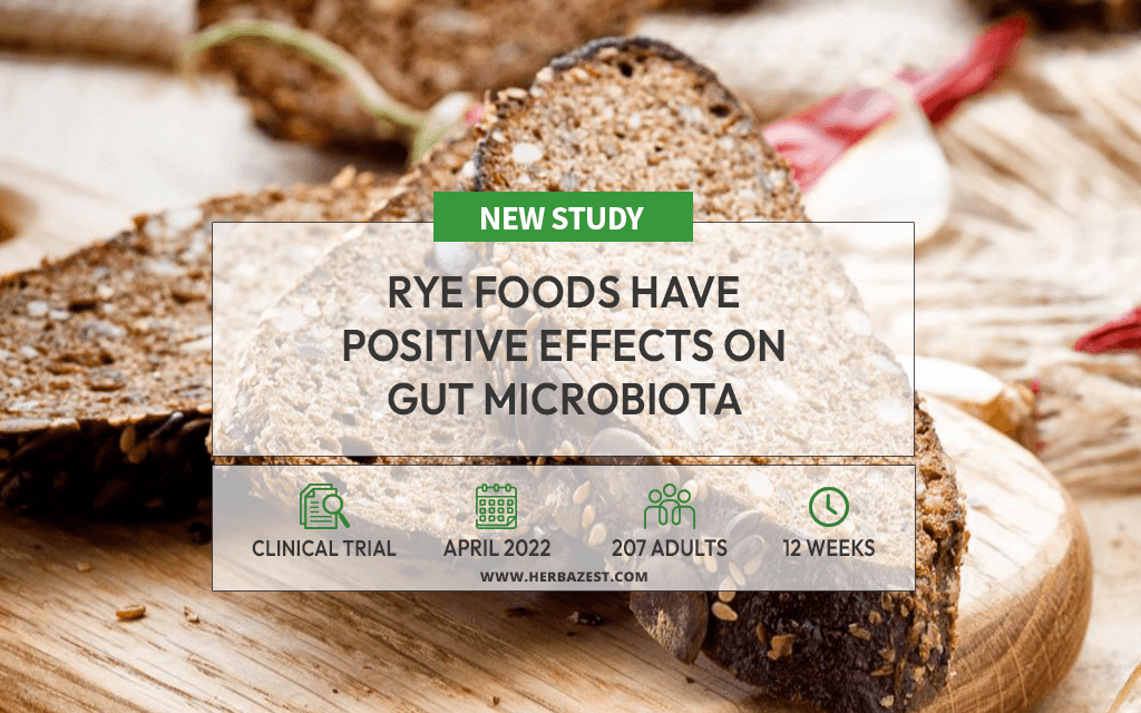 Eating High-Fiber Rye Foods May Help Improve Gut Microbiota
