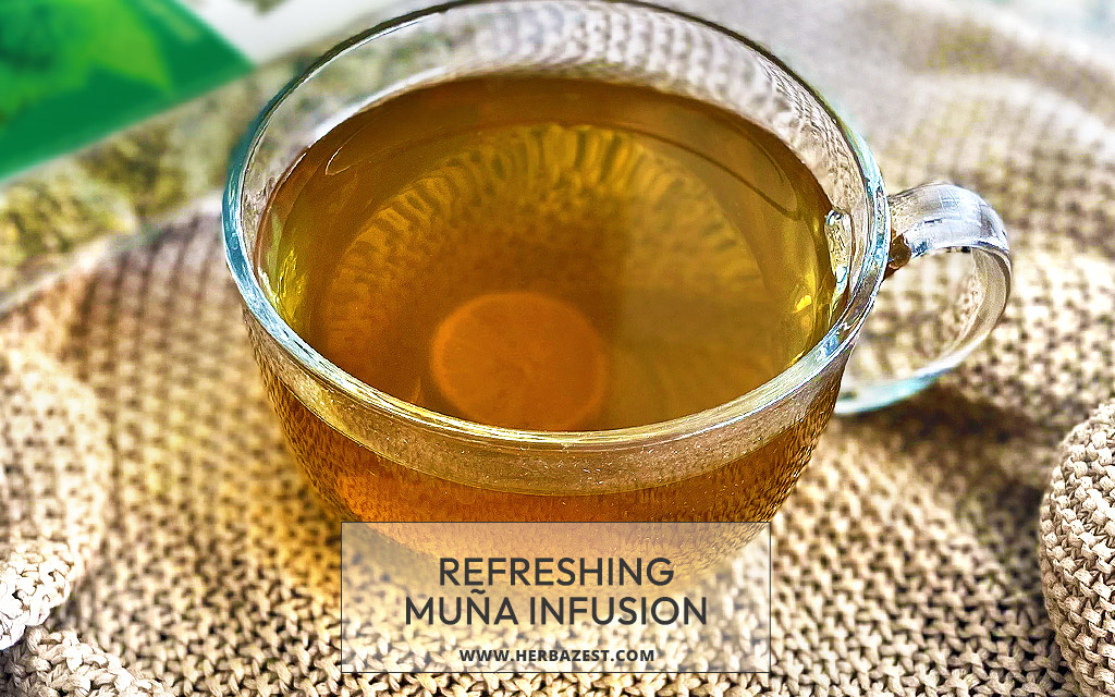 Refreshing Muña Infusion