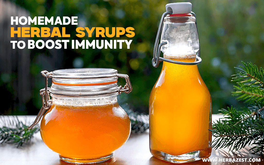 Homemade Herbal Syrups to Boost Immunity