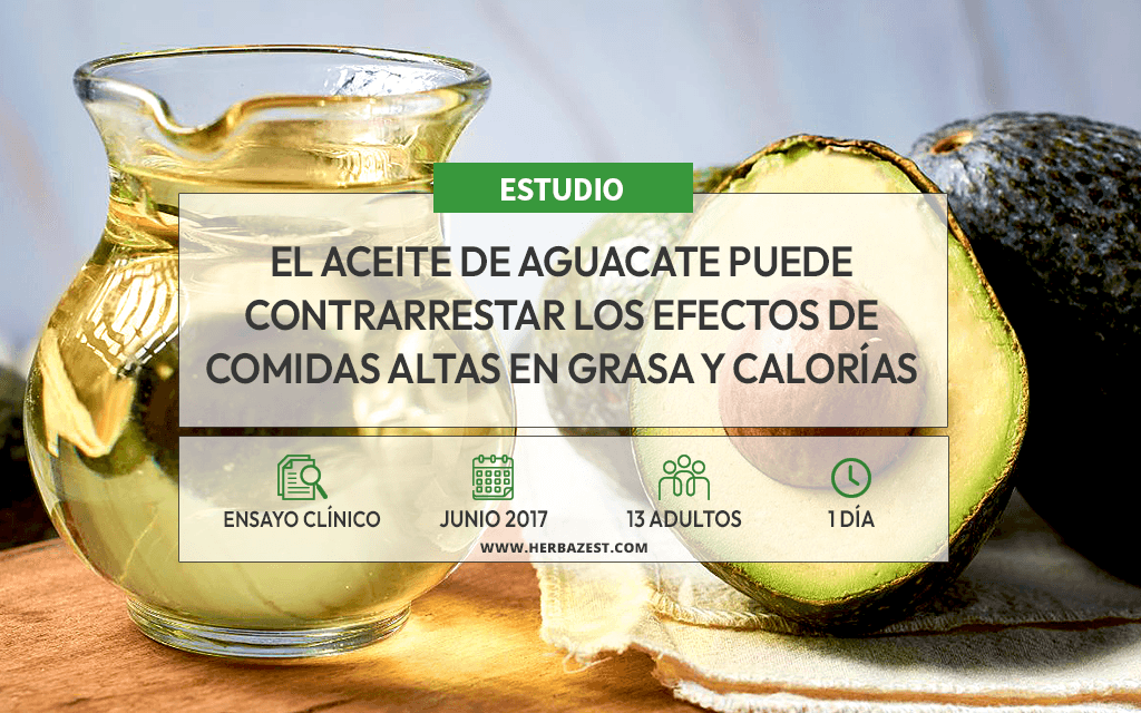 Demuestran la capacidad del aguacate para prevenir la aterosclerosis