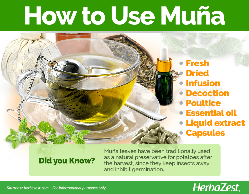 How to Use Muña