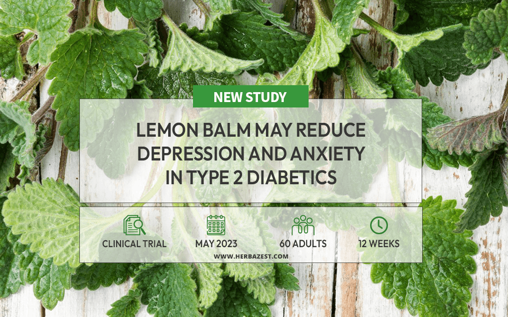 Study Explores Anxiolytic and Antidepressant Effects of Lemon Balm