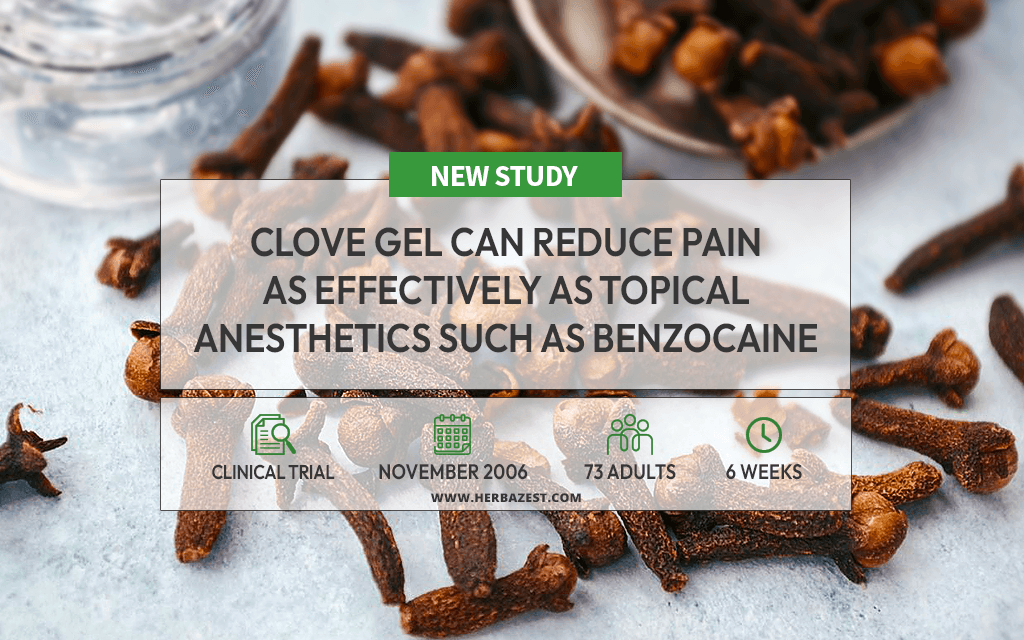 Clove Gel Shows Effectiveness as a Topical Anesthetic