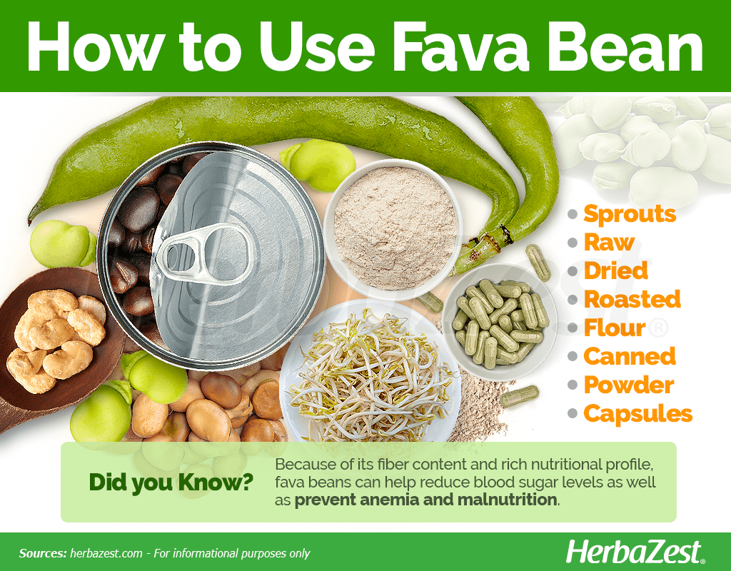 How to Use Fava Bean