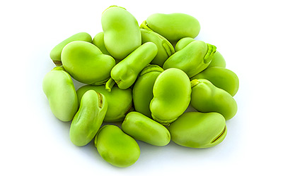 Fava bean