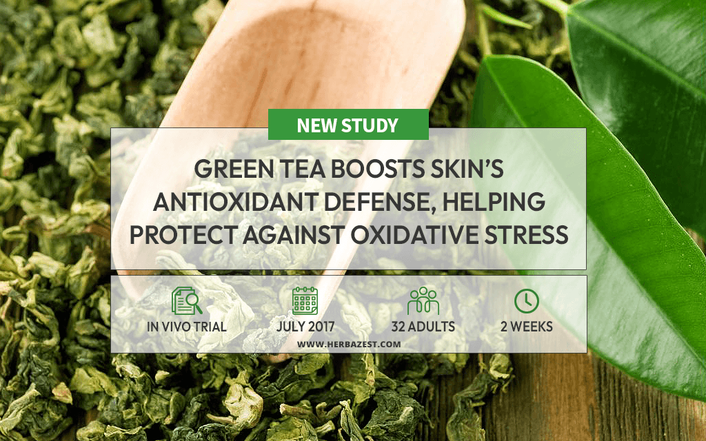 Study Explores Green Tea's Effects on Skin's Antioxidant Defense