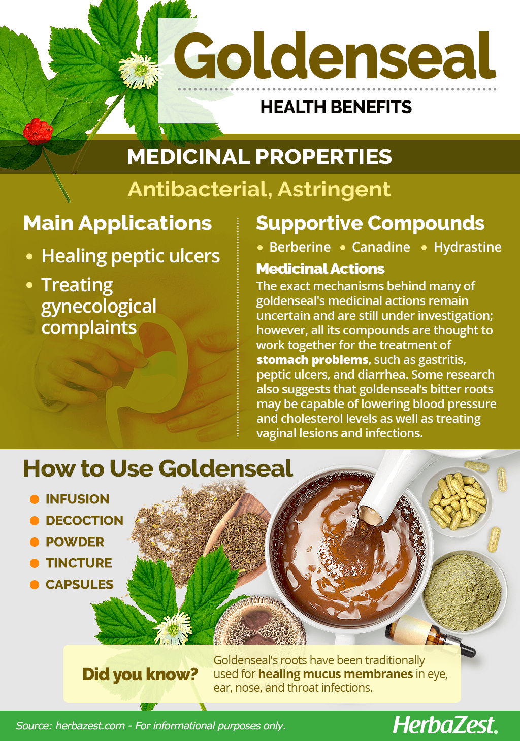 All About Goldenseal