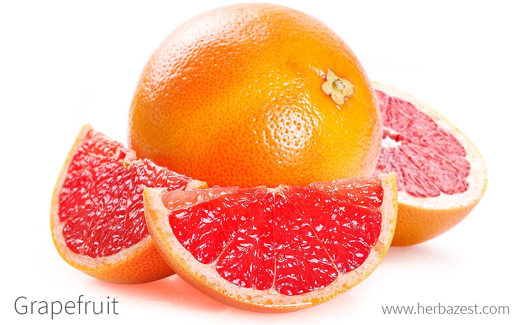 Grapefruit | HerbaZest