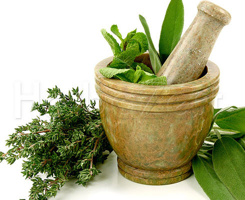 History Of Herbal Medicine | HerbaZest