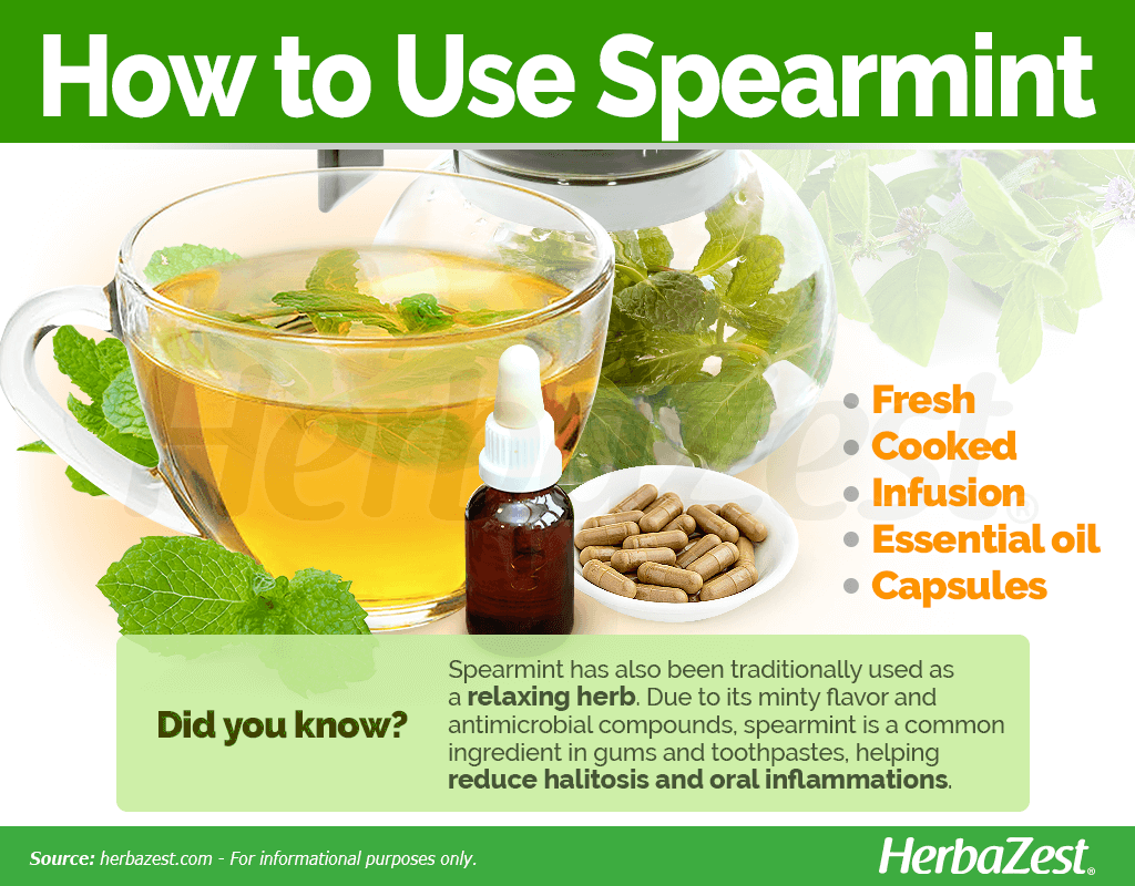 How to Use Spearmint