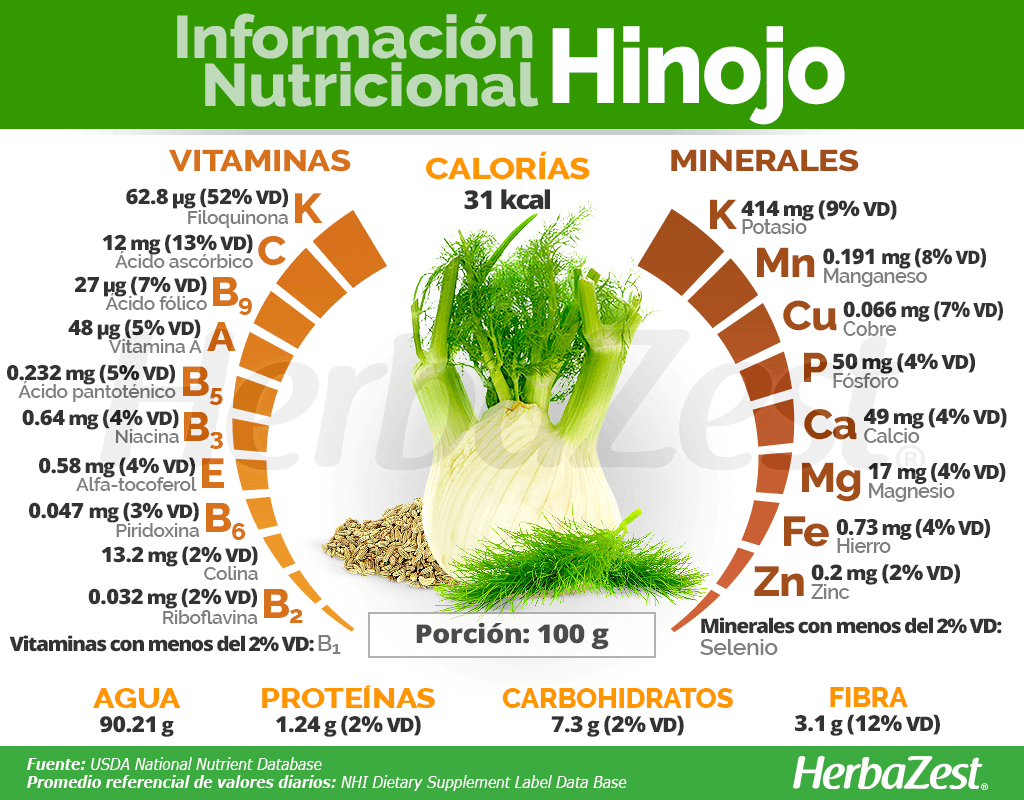 Infusión de Hinojo - Planta/Hierba Seca - Foeniculum vulgare
