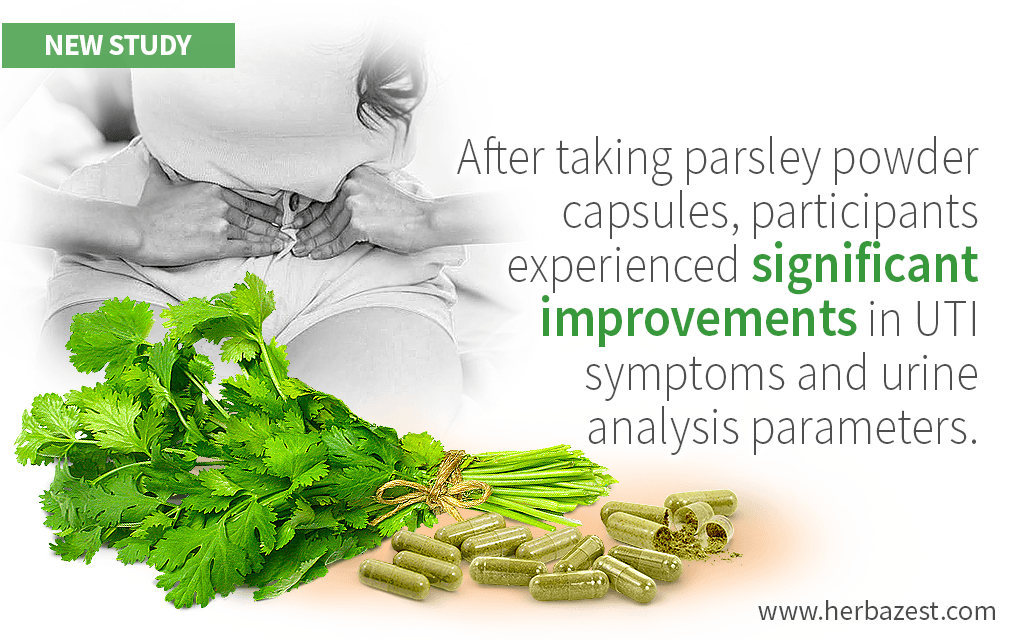 Parsley May Help Treat Urinary Tract Infections