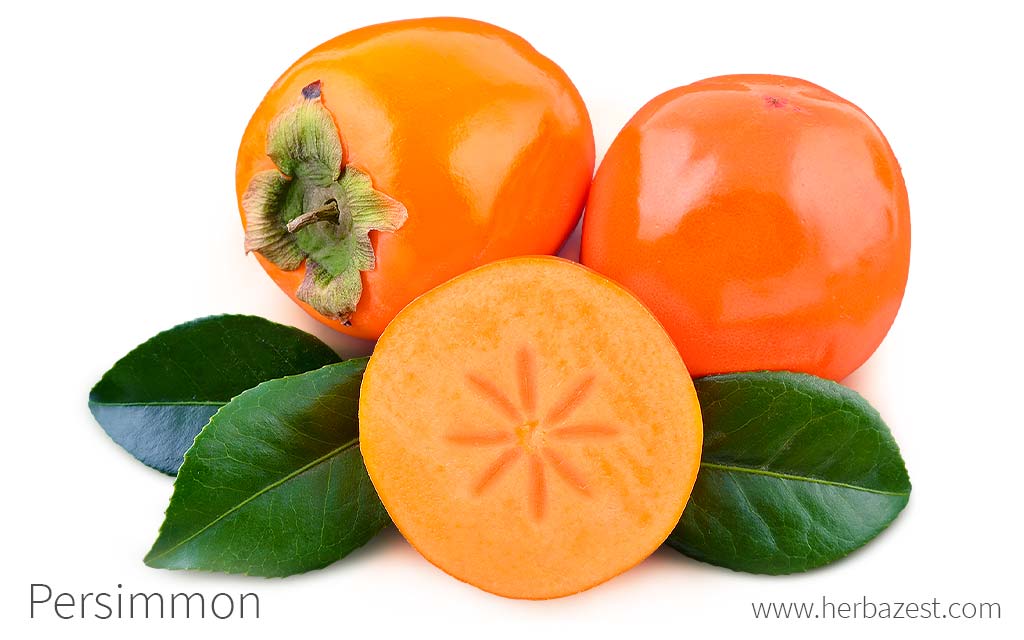 Persimmon: calories and nutritional composition