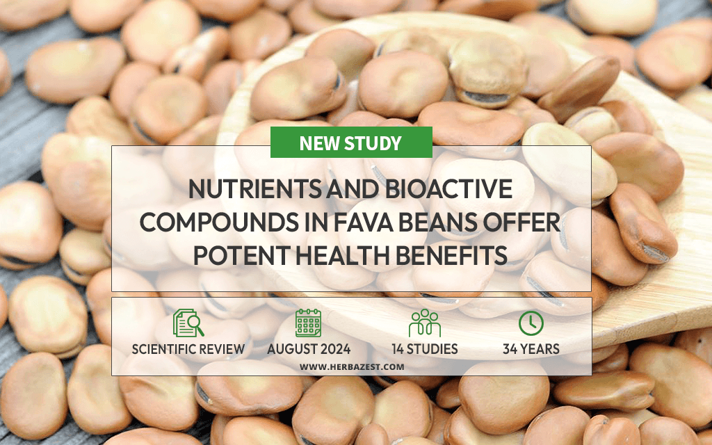 Researchers Review the Health Benefits of Fava Beans