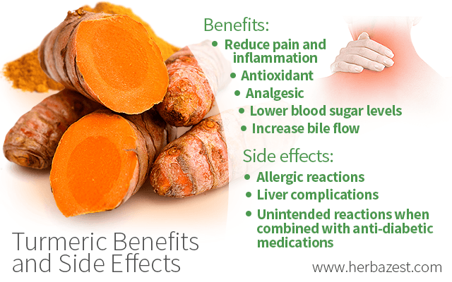 Turmeric Benefits And Side Effects Herbazest