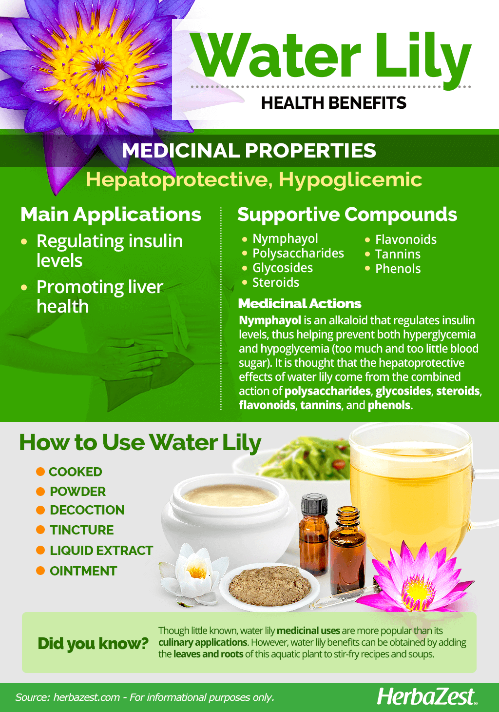 White Water Lily Medicinal Uses MedicineWalls