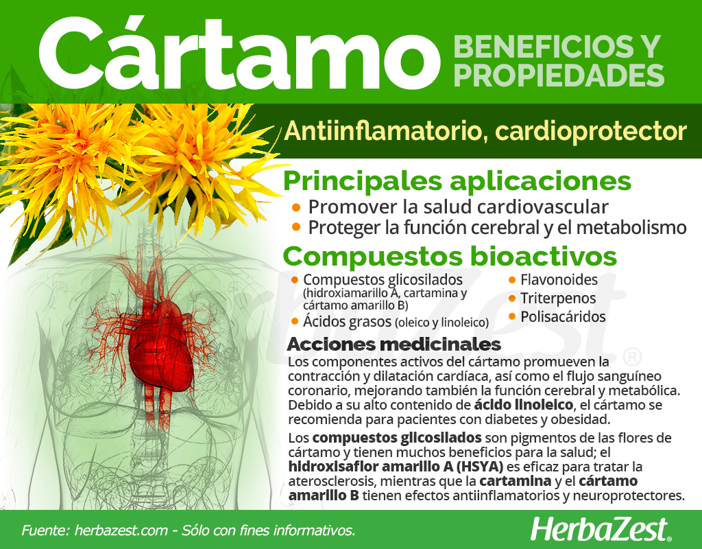 Beneficios y propiedades del cártamo