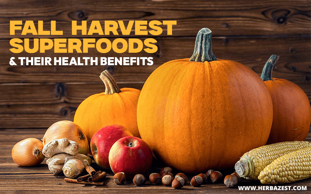 Fall Harvest Superfoods & Their Health Benefits