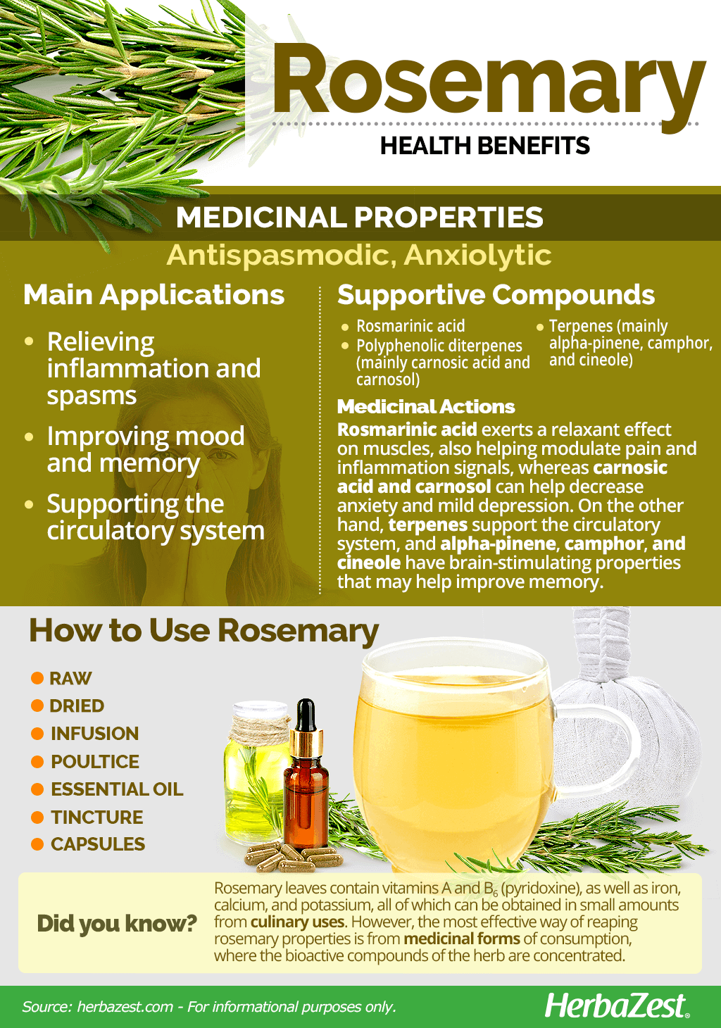Benefits Of Rosemary