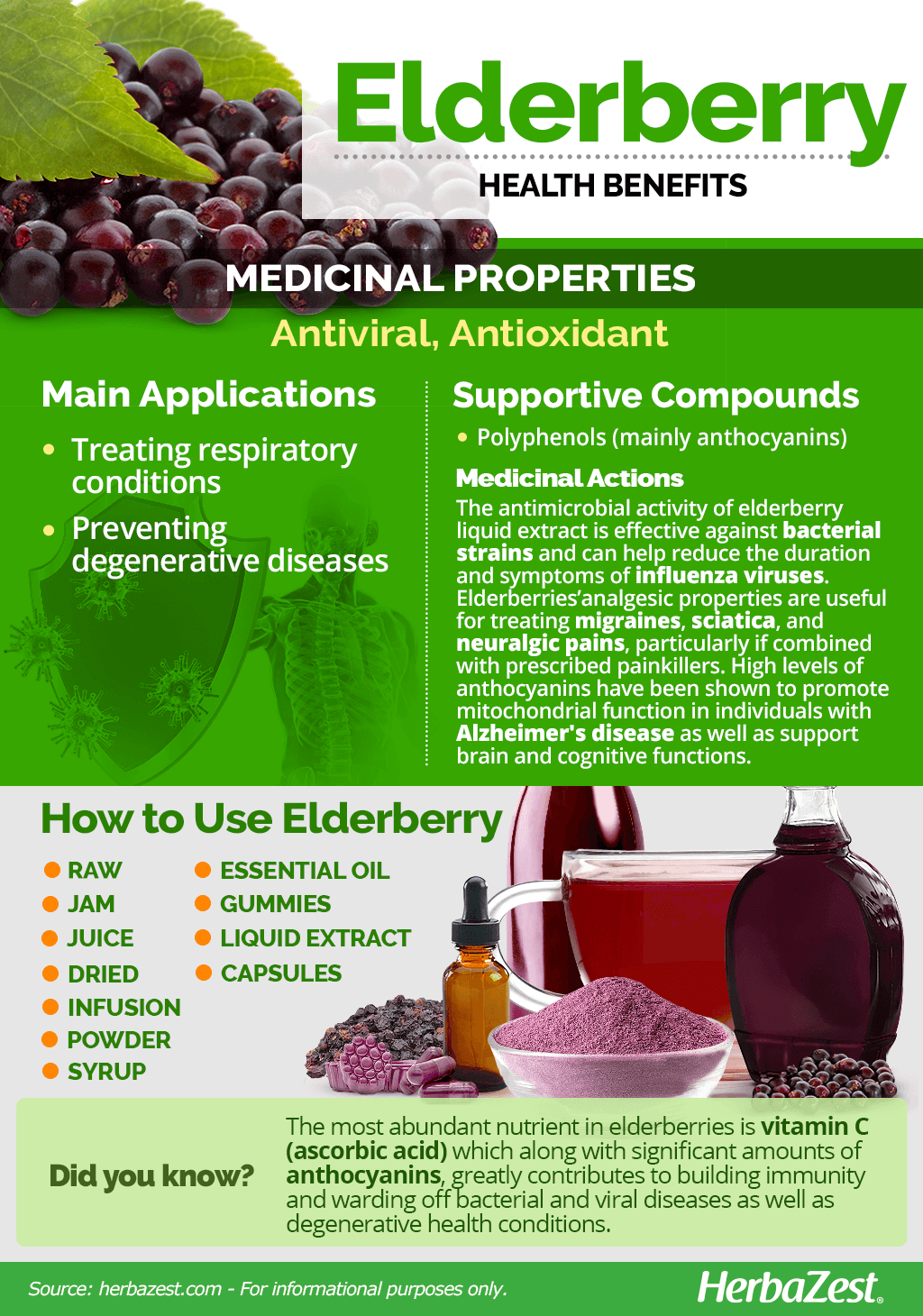 All About Elderberry