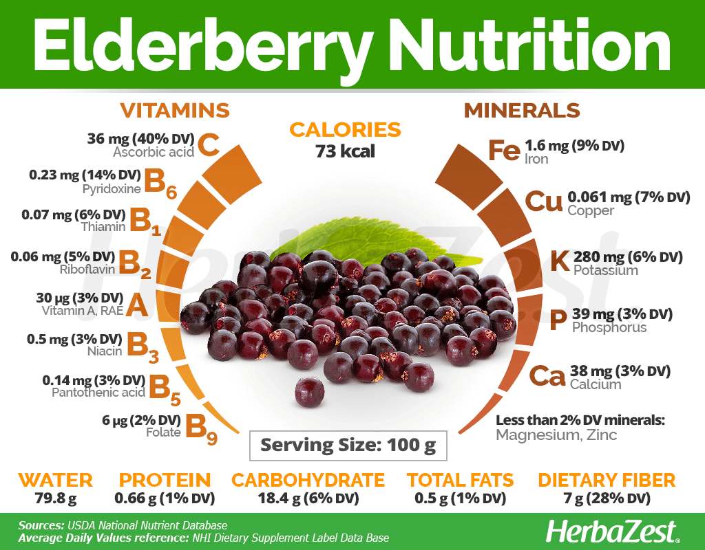 Elderberry Nutrition Facts