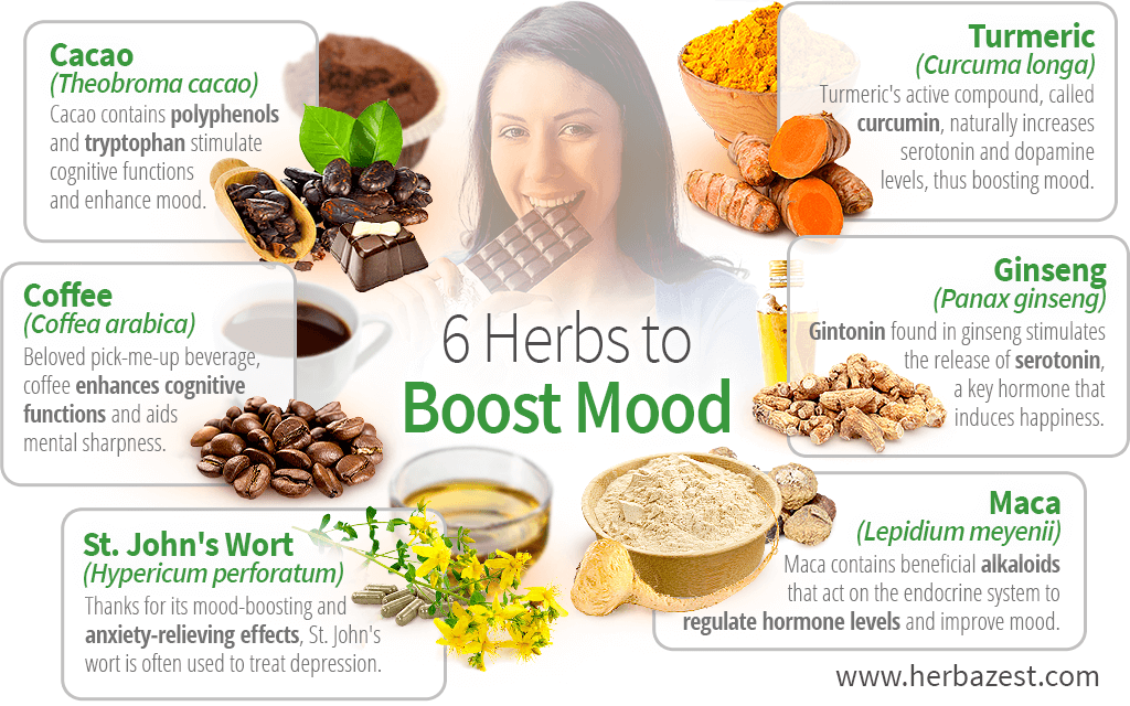 6 Herbs To Boost Mood HerbaZest