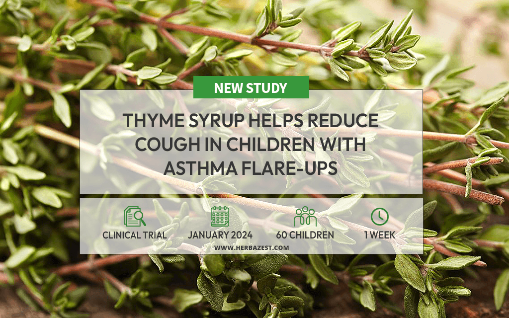 Thyme Could Help Alleviate Pediatric Asthma Symptoms