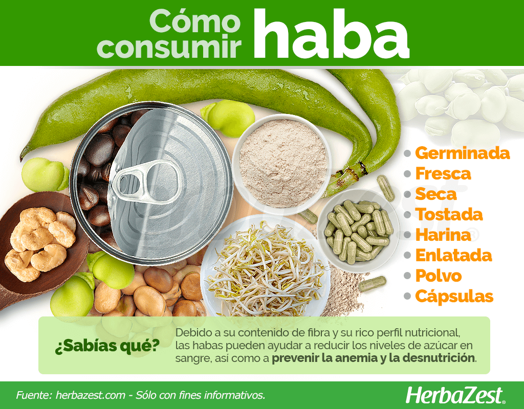 Cómo consumir haba